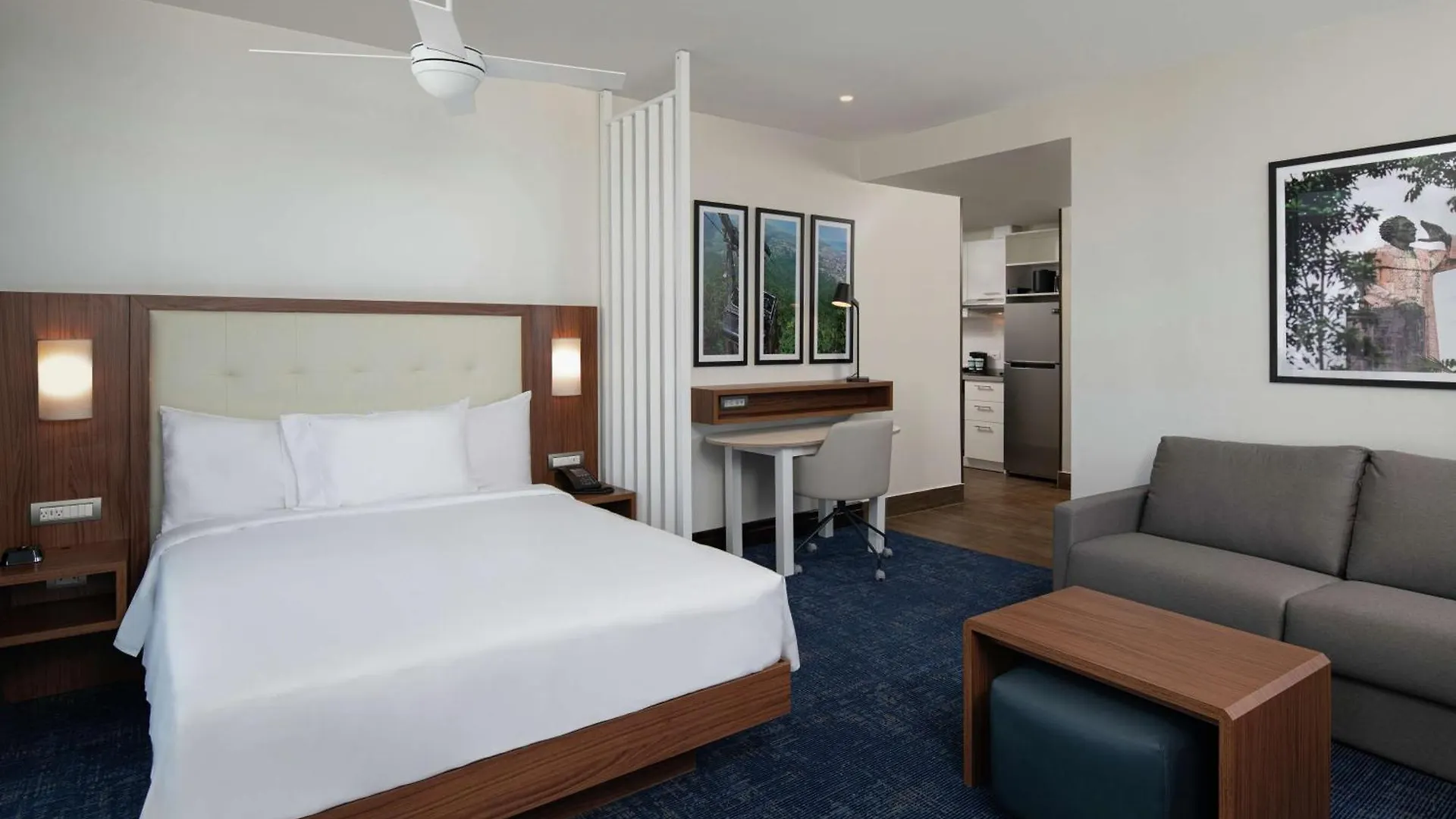 Homewood Suites By Hilton סנטו דומינגו מלון